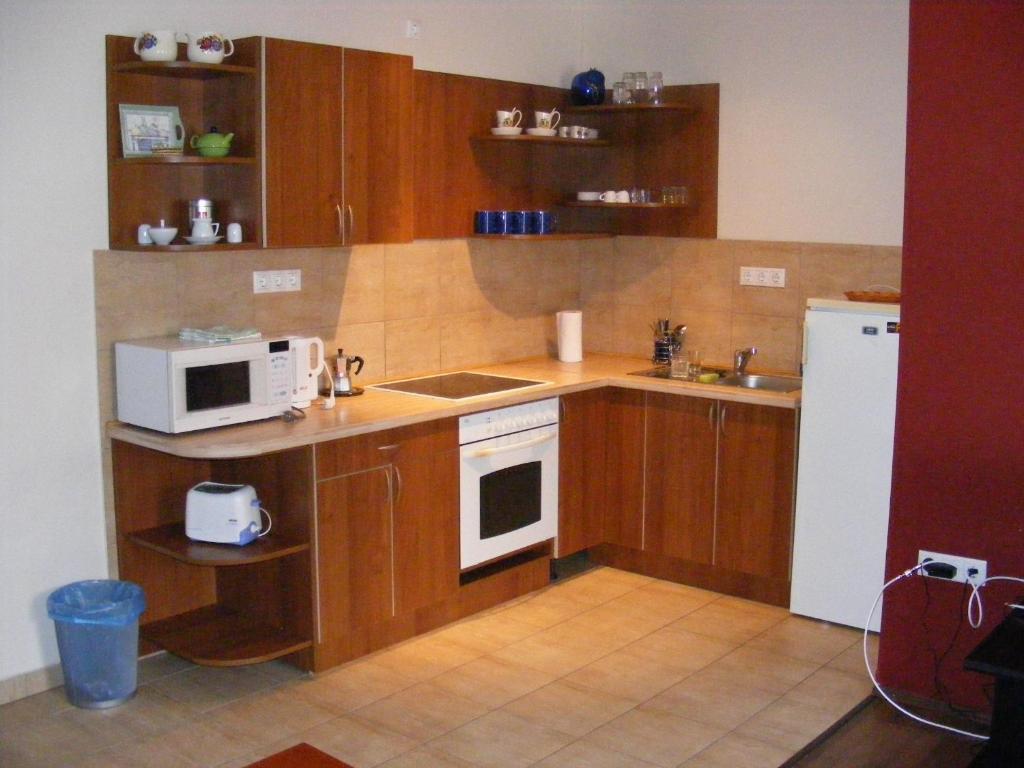 Palatinus Apartment Budapeşte Oda fotoğraf